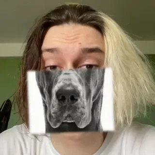 🐶 9a3bbab3 cane, persona, faccia, animale domestico, filtro, selfie whatsapp sticker