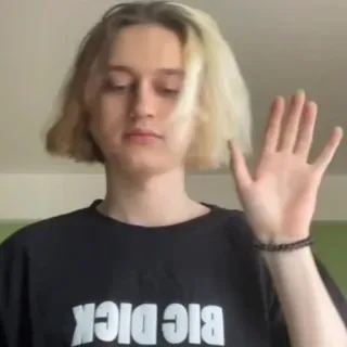 👋 bda6e47c BIG DICK offensivo, volgare, slang, maglietta, meme whatsapp sticker