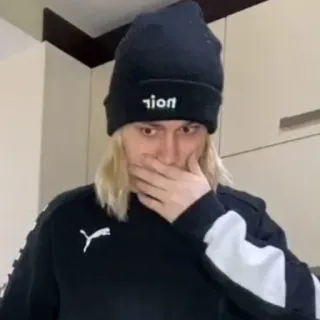 молдавская муха 2 | @twilystickers telegram stickers