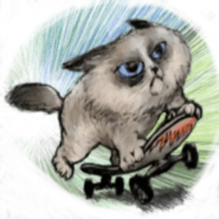 🛹 5df0f9ff SANTA CRUZ 심술궂은 고양이, 고양이, 스케이트보드, 산타 크루즈, 서핑, 밈, 웃긴, 동물 telegram sticker