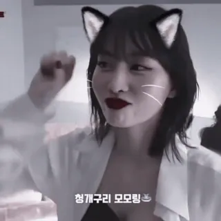 🍑 16250241 Momo 청개구리 모모링🐸 kpop, twice, momo, lindo, orejas de gato, emoji rana whatsapp sticker