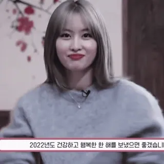 🍑 c81e8a80 2022년도 건강하고 행복한 한 해를 보냈으면 좋겠습니다. coreano, año nuevo, deseos, 2022 whatsapp sticker