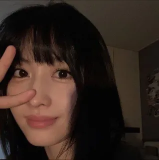 🌟 ff1f9d52 Frau, Mädchen, Friedenszeichen, Brünette, Selfie, Porträt telegram sticker