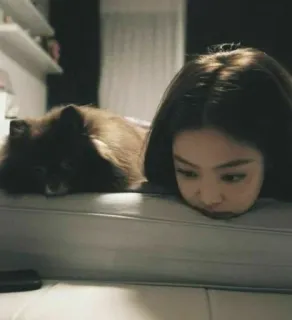 😓 01895fbb Frau, Hund, Haustier, Couch, Person, Tier telegram sticker