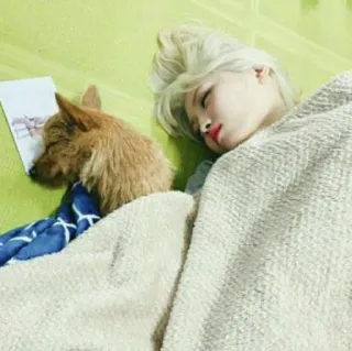 🍑 e0cb72b3 กำลังหลับ, หมา, คน, ผู้หญิง, เตียง, ผ้าห่ม telegram sticker