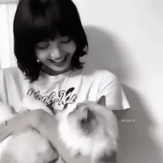 🪐 b0640143 Lisa Lisa, Blackpink, Katze, Haustier, Lächeln, Idol whatsapp sticker