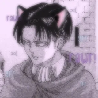 🌟 bd1286d4 Levi Ackerman Attack on Titan Anime, Tai mèo, Nhân vật hoạt hình, Manga, Levi, Ackerman telegram sticker