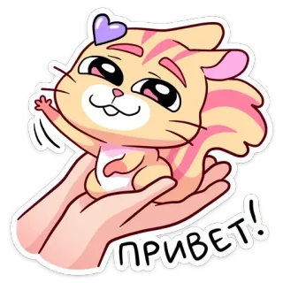 👋 16b2bf45 ПРИВЕТ! dễ thương, mèo, xin chào, chào hỏi, trái tim, thân thiện telegram sticker