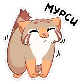 😊 9f6d43bc Мурси mèo, dễ thương, động vật, hoạt hình telegram sticker