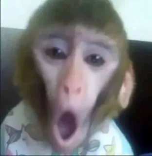 subscribe to my channel - @monkeyrofl telegram stickers