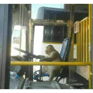 🚌 28e12646 monkey, bus, driver, animal, transportation whatsapp sticker
