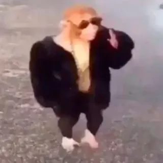 😎 2999c2e6 whatsapp sticker