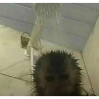 🚿 9dcf441d whatsapp sticker