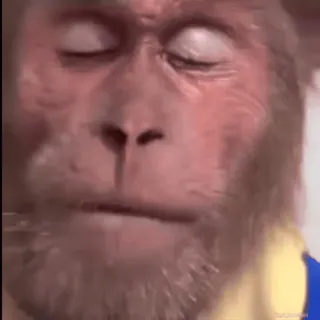 😭 1b5db043 telegram sticker