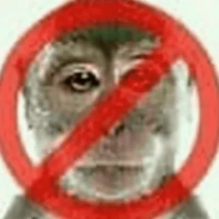 🚫 4d85f8c5 猿, 禁止, 禁止 telegram sticker