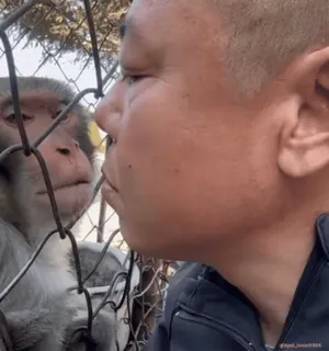 🥰 c98506bf telegram sticker