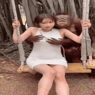 😘 c1e2a3be Affe, Frau, Schaukel, Draussen, Baum, Primat telegram sticker