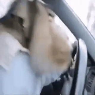 💃 ef65fafe telegram sticker