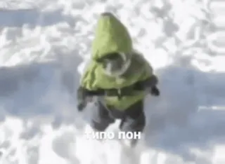 🤟 d1f2ee1f типо пон whatsapp sticker