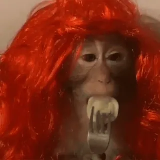 🍔 cc0d1faf обезьяна, рыжий парик, животное, ест, вилка telegram sticker