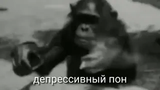 😔 1074011d депрессивный пон 猿, 猴子, 难过, 抑郁, 表情包 telegram sticker