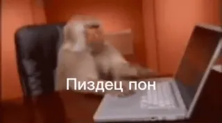 🤔 6cca58d5 Пиздец пон 猴子, 办公室, 笔记本电脑, 动物 telegram sticker