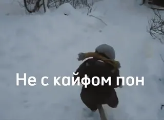 👎 d41519bd Не с кайфом пон 雪, 冬天, 冷 telegram sticker