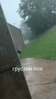 😕 609b10ec грустни пон telegram sticker