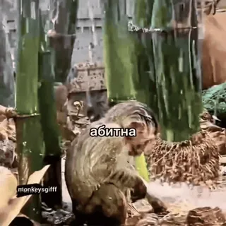 🐵 66c84341 абитна telegram sticker