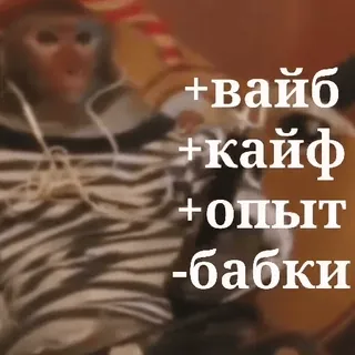 😎 a074632b +вайб
+кайф
+опыт
-бабки scimmia, vibrazioni, esperienza, soldi telegram sticker