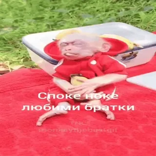 🐵 b456b01d Spoje noe
любими братки scimmia, rosso, divertente, meme, carino telegram sticker