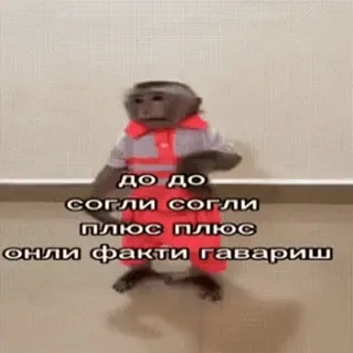 🐵 e151440c до до
согли согли
плюс плюс
онли факти гавариш scimmia, ballare, carino, divertente, russo, meme telegram sticker