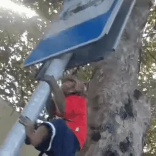 🐵 1c444be6 whatsapp sticker