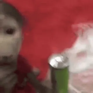 🐵 487d4f51 telegram sticker