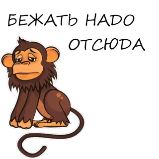 🐒 a3c4a25b БЕЖАТЬ НАДО ОТСЮДА singe, animal, fuite, triste, courir, partir telegram sticker