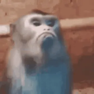 monkeys by @norufx telegram stickers