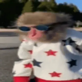 monkeys by @norufx whatsapp stickers