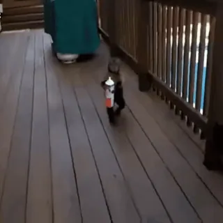 🙈 aa155d57 whatsapp sticker