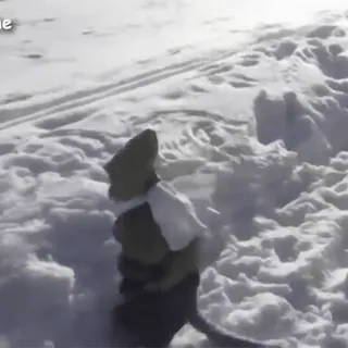 🙈 e6cba0f5 whatsapp sticker