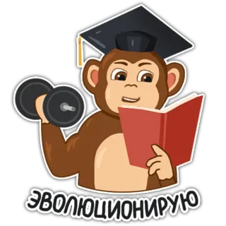 💪 5b8dff8c ЭВОЛЮЦИОНИРУЮ scimmia, laurea, sollevamento pesi, libro, istruzione, animale, cartone animato telegram sticker