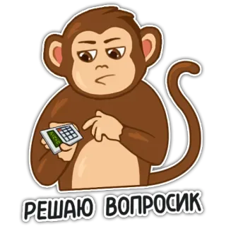 ✊ b1f43c65 РЕШАЮ ВОПРОСИК scimmia, calcolatrice, problem solving, pensiero, animale, cartone animato telegram sticker