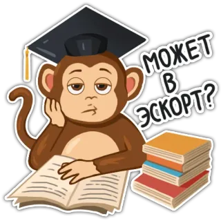 😩 c001977b МОЖЕТ В ЭСКОРТ? scimmia, laurea, libri, annoiato, russo telegram sticker