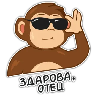 👋 c5fae94b ЗДАРОВА, ОТЕЦ scimmia, occhiali da sole, russo, saluto, padre, ciao, zdarova telegram sticker