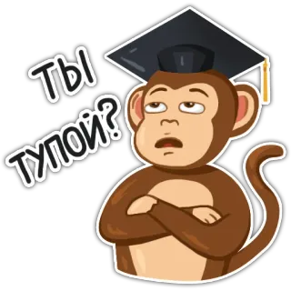🙄 f97eae5e Ты тупой? scimmia, laureato, domanda, stupido, russo telegram sticker