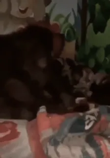 😶 0bf59760 telegram sticker