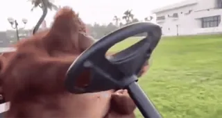 Monkiz 3 :: @fStikBot telegram stickers