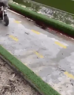 Monos cool @elvalledelassombras :: @fStikBot telegram stickers