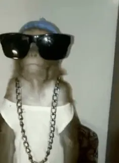 😎 9aa93dcc khỉ, kính râm, dây chuyền, gangster, động vật telegram sticker