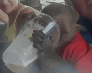 🍺 ba6bd0b5 telegram sticker