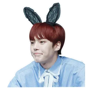 😕 6fee6356 orang, telinga kelinci, imut, potret, pria, wajah telegram sticker